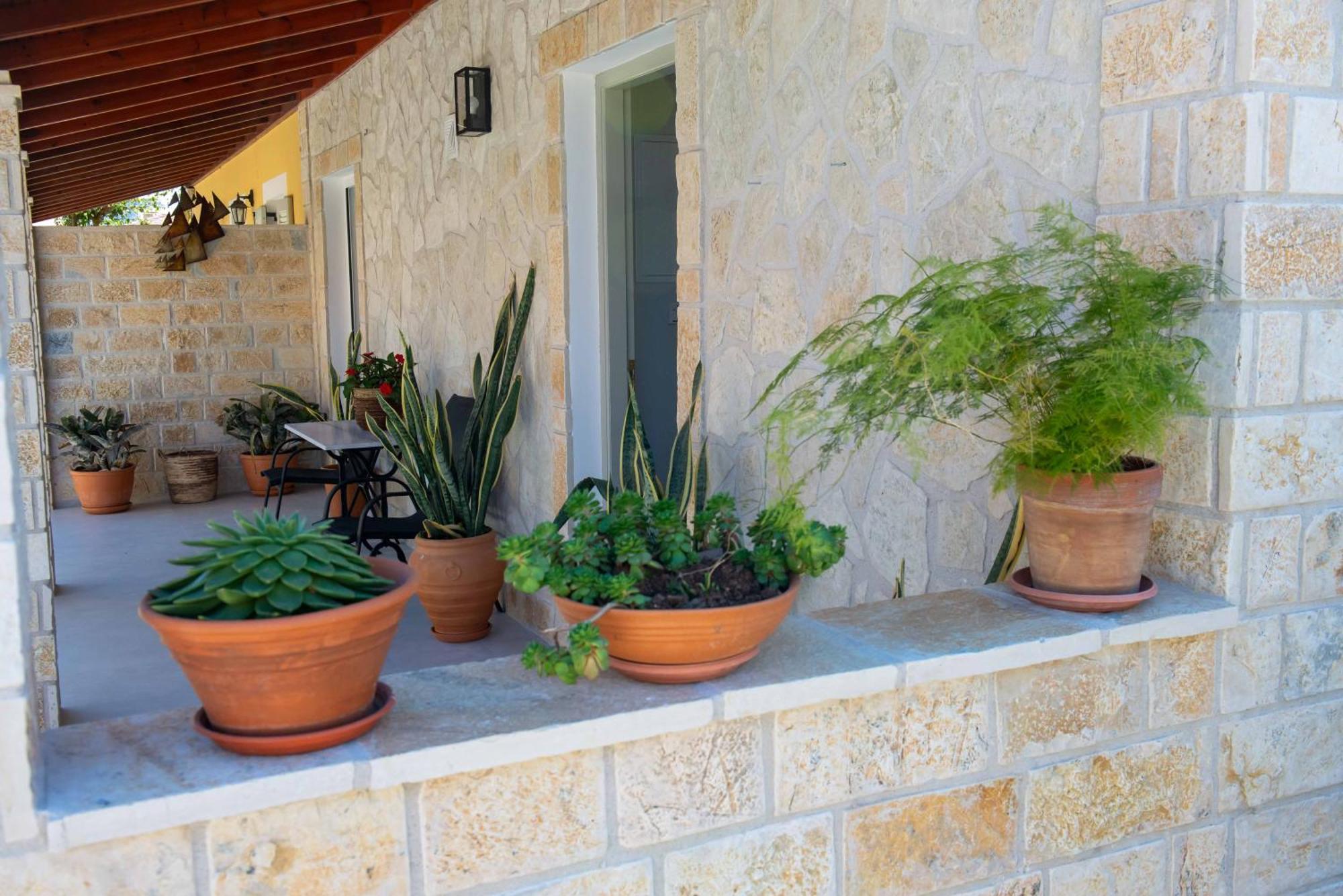 Alex Studios & Apartments أريلاز المظهر الخارجي الصورة